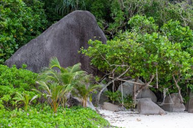 Similan Ulusal Parkı 'nın sahilinde sallanıyor.