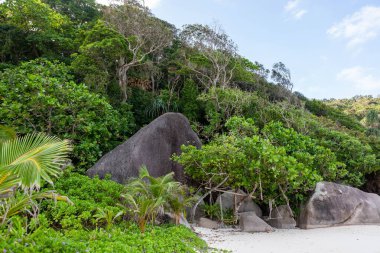 Tropikal sahilde salıncaklar, Similan Ulusal Parkı