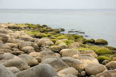 Gölün kayalık plajı. Sakin sahne.