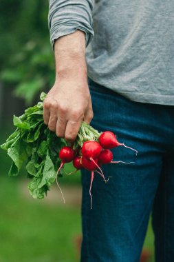  Elinde turp demeti olan bir adam