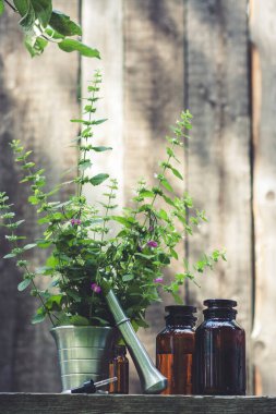  Havanda, tokmaklı ve antika şişeli şifalı bitkiler.