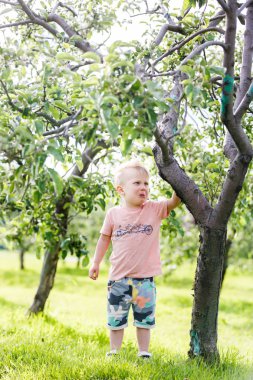 kızgın çocuk parkı