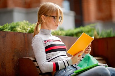 Notebook ellerinde bankta oturan kızla