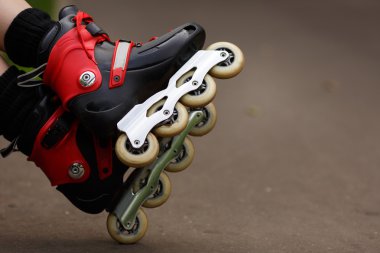 Kırmızı rulman ağızları portre