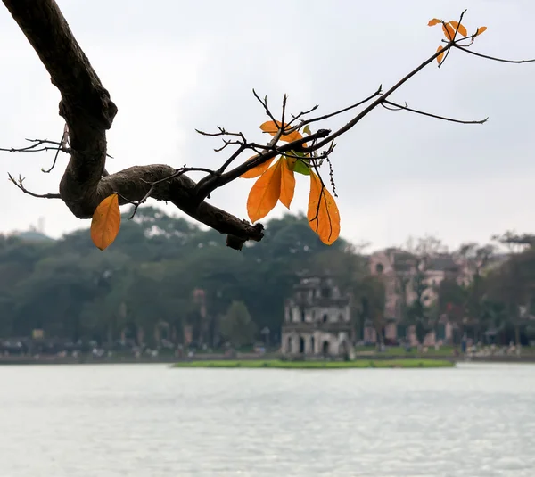 Ha Noi, Viet Nam, 8 Şubat 2016 kartal yeşillik, Sonbahar, kaplumbağa kule, Hoan Kiem Gölü, Merkezi Ha Noi, Vietnam