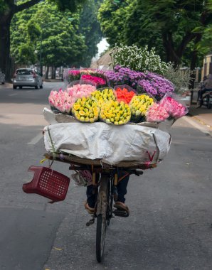 kadın Bisiklete binme, taze çiçek iş, sokakta Ha Noi, Vietnam