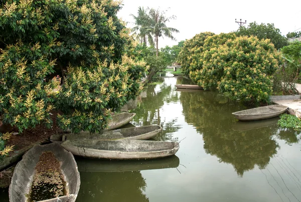 HUNG YEN, VIET NAM, 12 dicembre 2015 Etichetta stagioni floreali, fiume lacrima, Hung Yen, Vietnam — Foto Stock