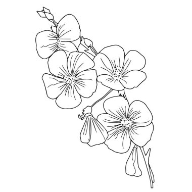 Vektör grafikleri. Beyaz arka planda bir çiçeğin yakın plan çizgisi.