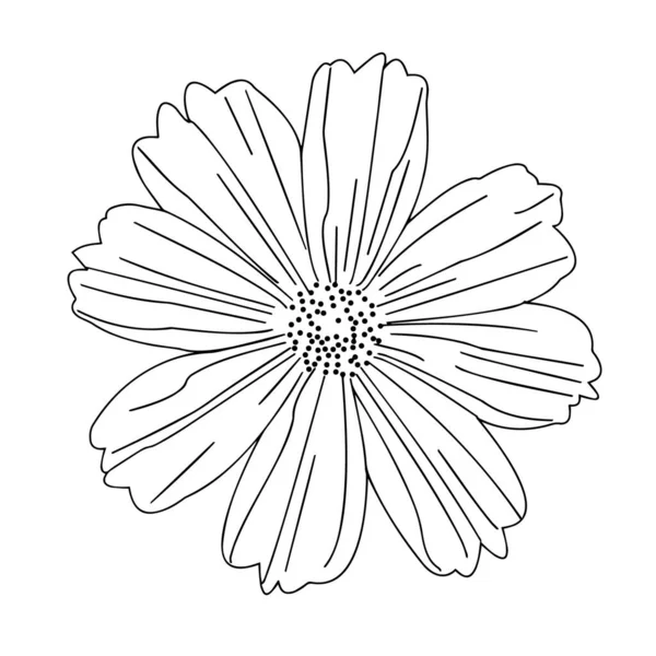 Gráficos Vetoriais Close Esboço Uma Flor Sobre Fundo Branco — Vetor de Stock