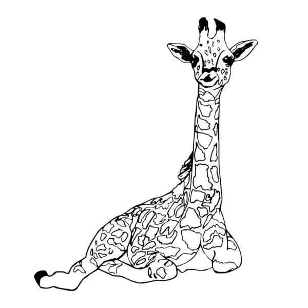 Dessiner Des Animaux Mignons Pour Les Enfants Girafe Silhouette Noire — Image vectorielle