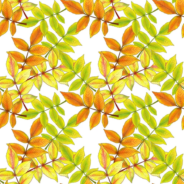 Leaf Pattern Autumn Colorful Leaves Chaotic Order Seamless Background Texture — 스톡 사진