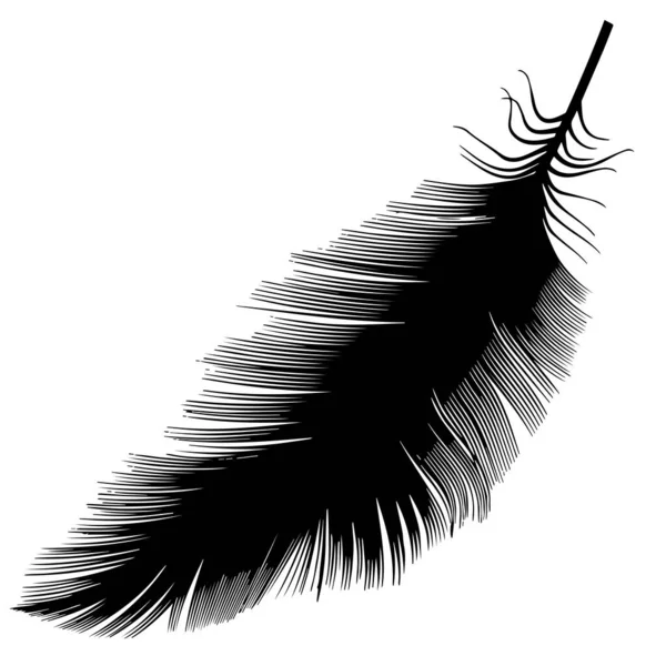 Primer Plano Plumas Pájaro Silueta Negra Sobre Fondo Blanco Material — Vector de stock