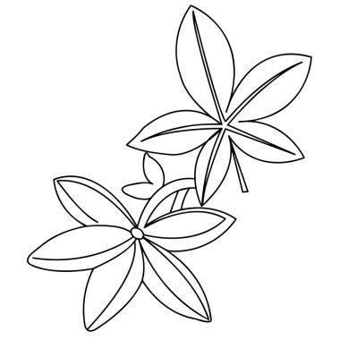 Beyaz arka planda desenli bir parçanın yakın çekimi. Bitki elementlerinin tasvir edildiği vektör grafikleri. Desenler, dekoratif arka planlar ya da kusursuz tasarımlar yaratmak için malzeme.