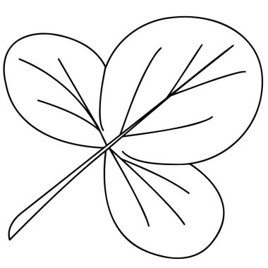 Beyaz arka planda desenli bir parçanın yakın çekimi. Bitki elementlerinin tasvir edildiği vektör grafikleri. Desenler, dekoratif arka planlar ya da kusursuz tasarımlar yaratmak için malzeme.