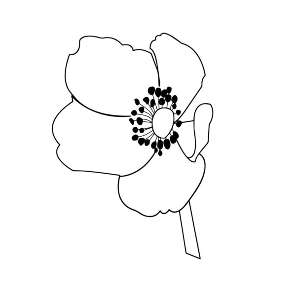 Umriss Einer Anemonenblume Großaufnahme Auf Weißem Hintergrund Vektorillustration — Stockvektor