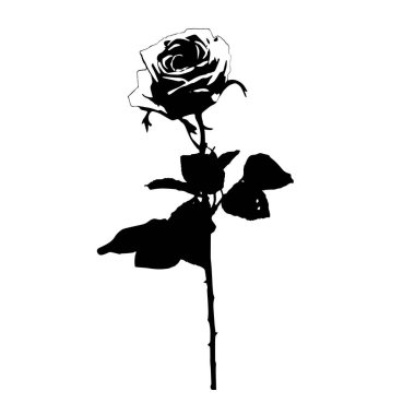 Gül. Beyaz arka planda siyah çiçek. Vektör grafikleri. Kağıt ya da kumaş üzerine yazdırmak için malzeme.