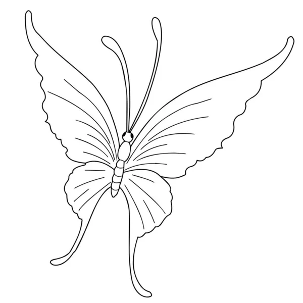 Mariposa Insecto Primer Plano Sobre Fondo Blanco Dibujo Contorno Gráficos — Archivo Imágenes Vectoriales