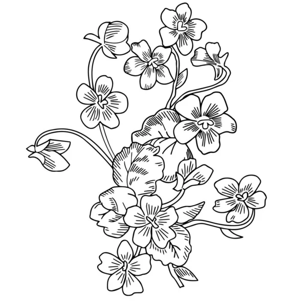 Stiefmütterchen Konturierte Gartenblumen Auf Weißem Hintergrund Nahaufnahme Vektorgrafik — Stockvektor