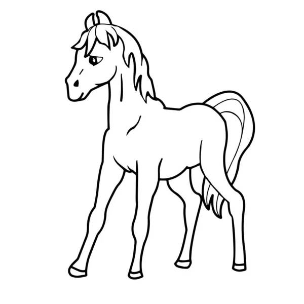 Zvíře Kresleného Filmu Kůň Bílém Pozadí Detailní Záběr Obrysová Kresba — Stockový vektor