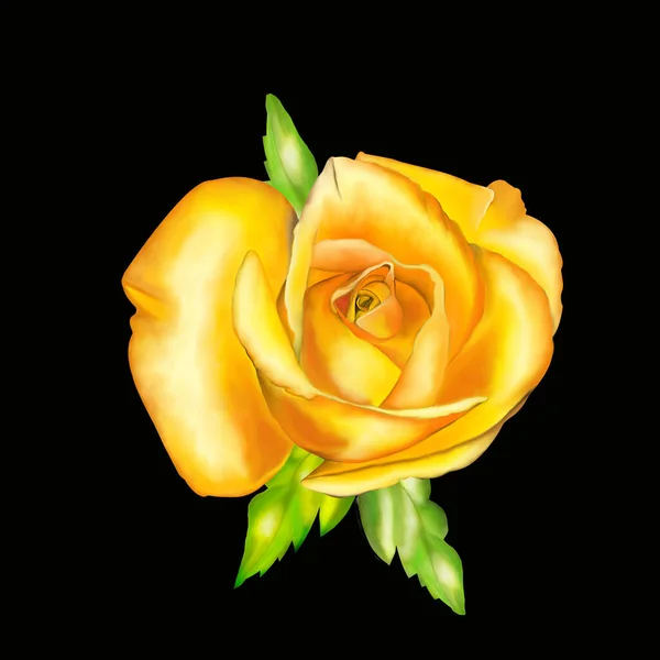 Rosen Gartenblumen Aus Nächster Nähe Nachahmung Von Aquarellen Zeichnung Zum — Stockfoto