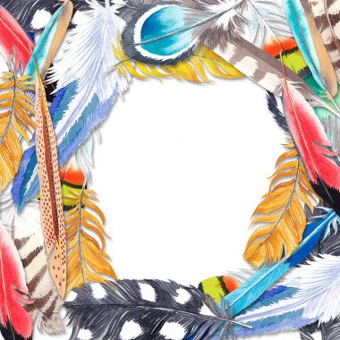 Renkli kuş tüylerinin görüntüsüne sahip yaratıcı bir kompozisyon. Kağıt ya da kumaş üzerine yazdırmak için malzeme.