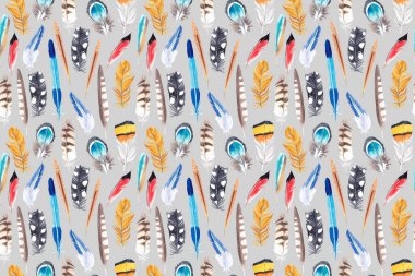 Renkli kuş tüylerinin görüntüsüne sahip yaratıcı bir kompozisyon. Kağıt ya da kumaş üzerine yazdırmak için malzeme.