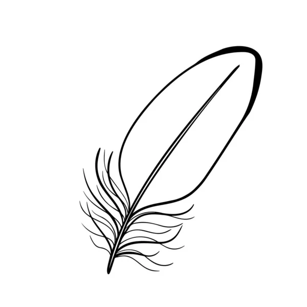 Ένα Φτερό Πουλιού Μαύρο Περίγραμμα Του Φτερού Ενός Πουλιού Λευκό — Διανυσματικό Αρχείο