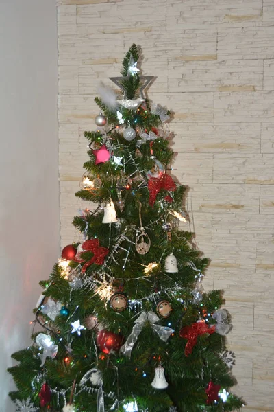 Noel Tatilinin Sembolü — Stok fotoğraf