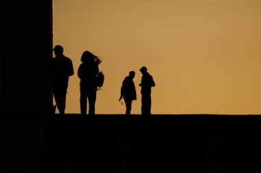 görüntü günbatımı karşı açık havada Bisiklet sportif şirket arkadaşlar. siluet.