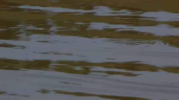 Wasseroberfläche in einem kleinen Reservoir. glatte Wellen. — Stockvideo