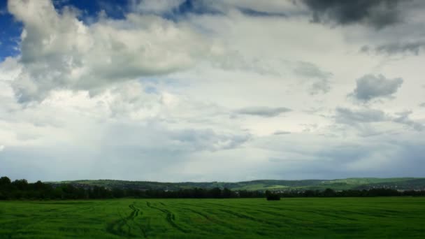 Ruchu chmur cumulus przez pole. — Wideo stockowe