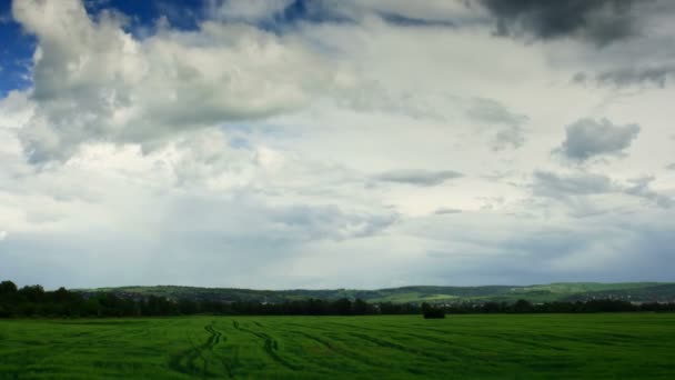 Moving cumulus clouds over field. — Stock Video