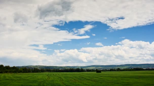 Mover nuvens cumulus sobre o campo gren . — Vídeo de Stock