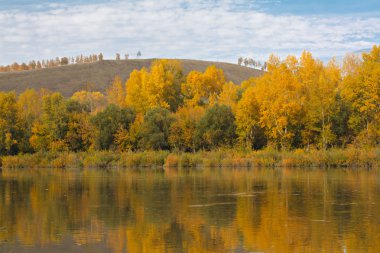 Nehirli sonbahar manzarası.