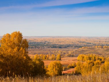 sonbahar kırsal manzara