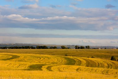 sonbahar kırsal manzara.