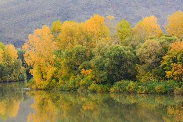 Paisagem de outono com rio — Fotografia de Stock