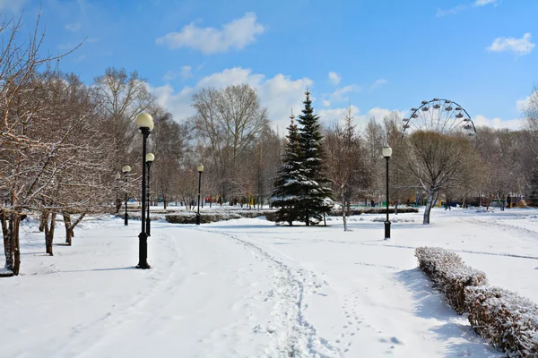 Winter park in snow. — Stock Photo, Image