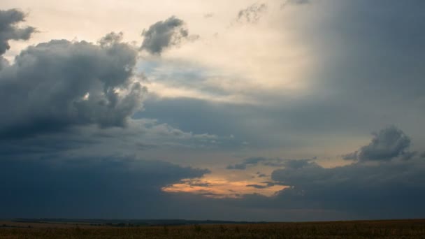 Flytta cumulusmoln över fältet en solnedgång. — Stockvideo