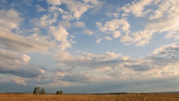 Moving clouds over field an sunset, time lapse. — Stock Video