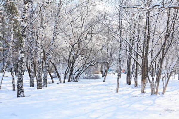 Зимовий парк у снігу — стокове фото