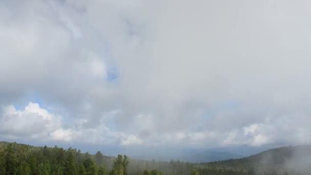 Nevoeiro e nuvens nas montanhas . — Vídeo de Stock