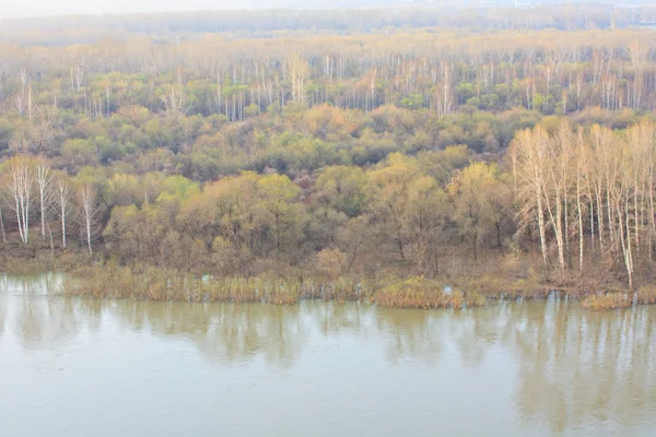 Paisaje de primavera con el río, la vista superior . — Foto de Stock