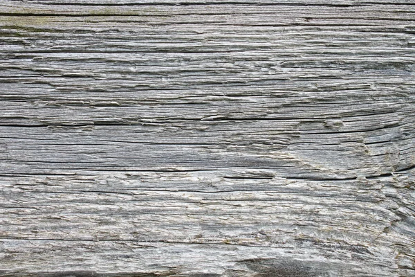 Close up textura de madeira . — Fotografia de Stock