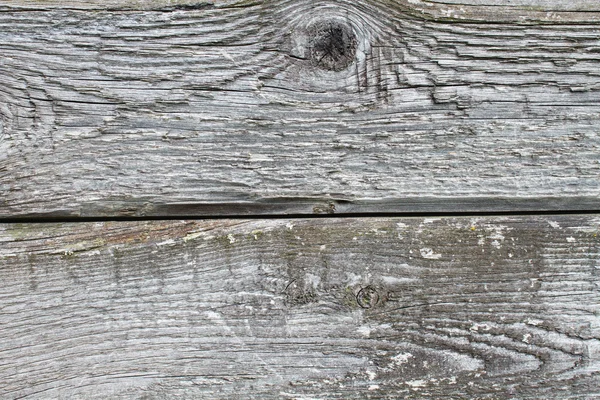 Detail textury dřeva. — Stock fotografie