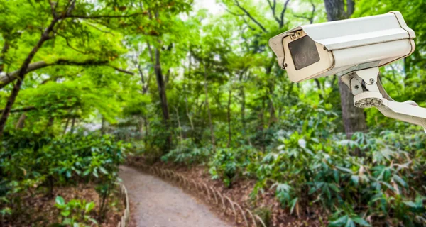 CCTV kamera eller övervakning i park eller trädgård — Stockfoto