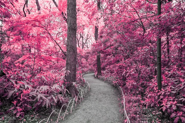 Fantasie scène van rode bos met pad bewandelen — Stockfoto