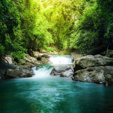 Ormanda güzel bir şelale