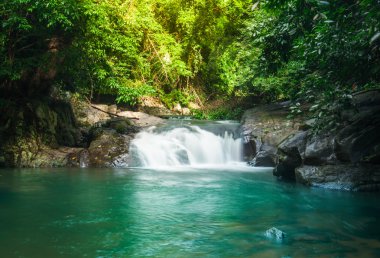 Ormanda güzel bir şelale