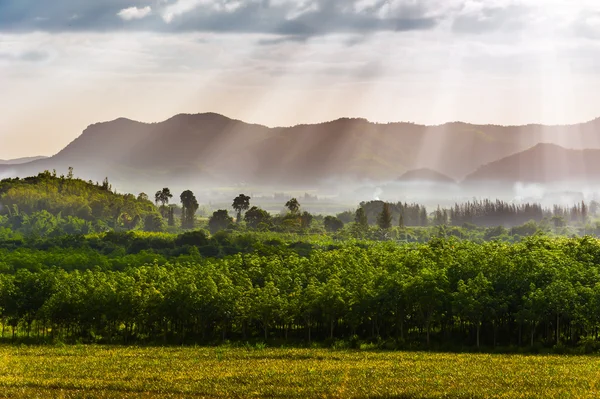 산과 숲에서 아침 sunligh의 아름 다운 풍경 — 스톡 사진